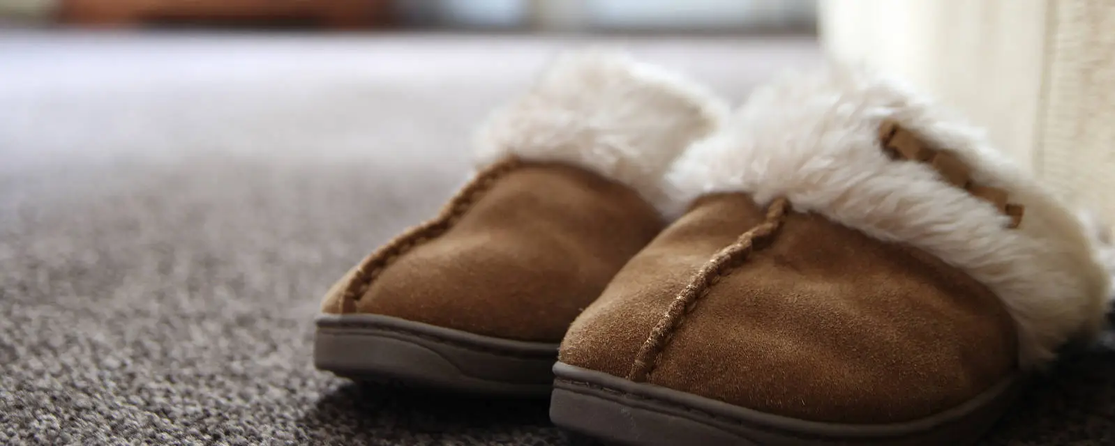 aba Carpet & Upholstery Cleaning Steam Cleaning Northern Beaches