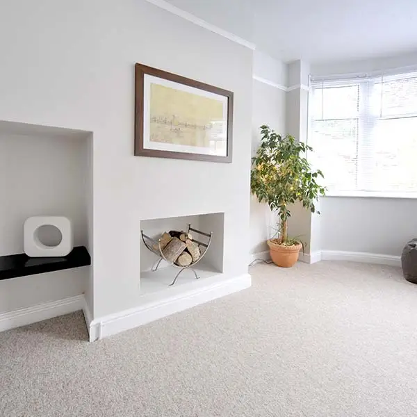 clean-and-tidy-living-area