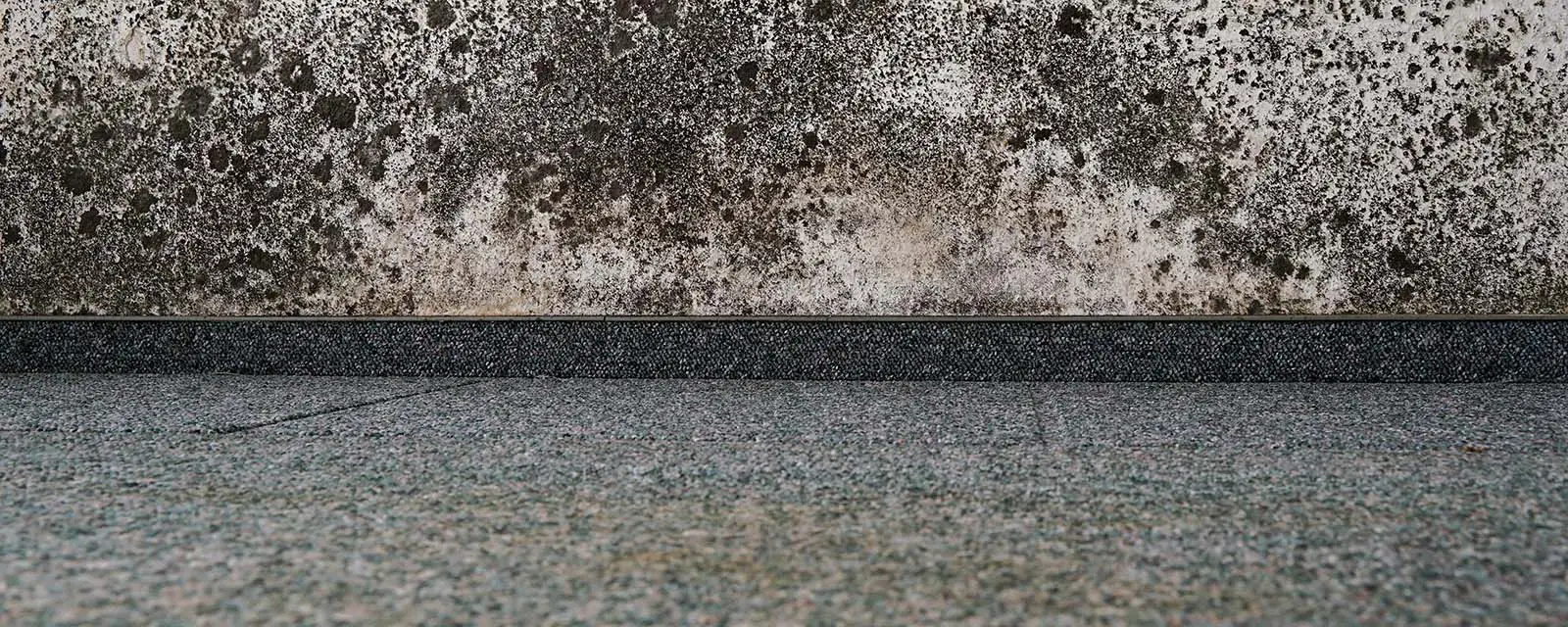 mouldy-wall-from-flooding